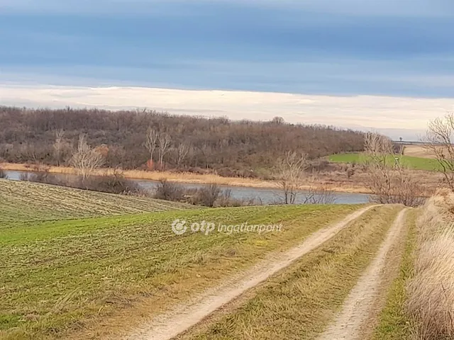 Eladó mezőgazdasági ingatlan Úri, Nagy tó és környéke 340000 nm