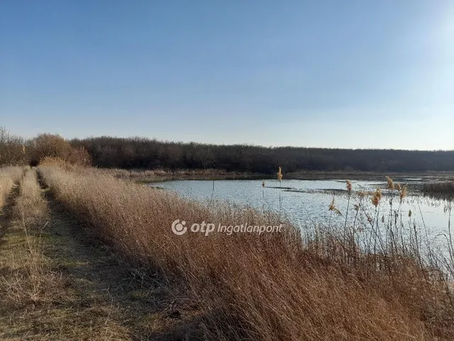 Eladó mezőgazdasági ingatlan Úri, Kisréti tó 16777215 nm