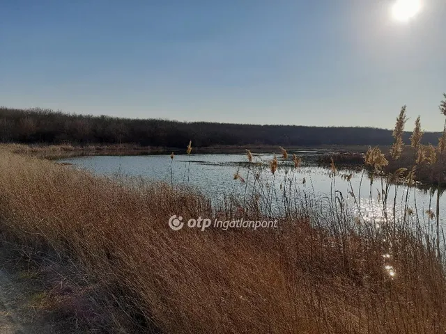 Eladó mezőgazdasági ingatlan Úri, Kisréti tó 16777215 nm