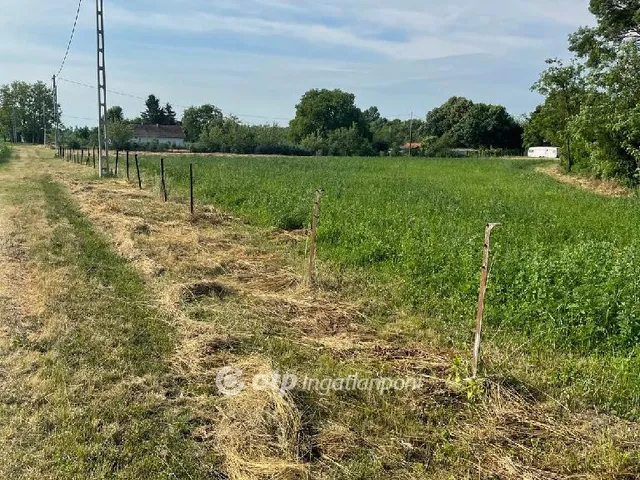 Eladó mezőgazdasági ingatlan Békéscsaba, horgásztelkek 3000 nm