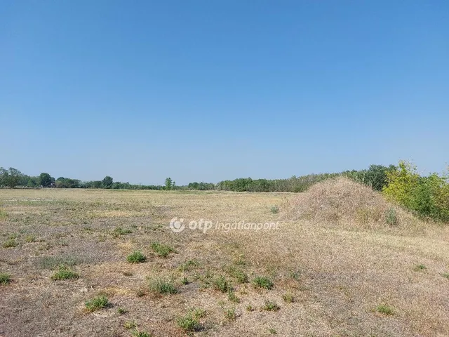 Eladó ház Ruzsa, Tanya 60 nm