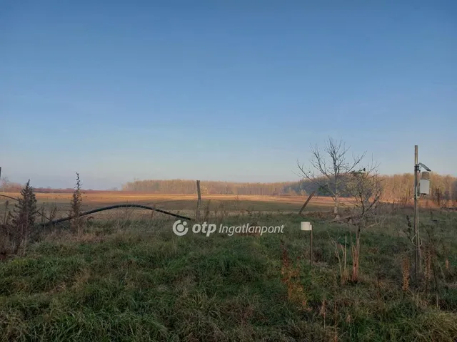 Eladó mezőgazdasági ingatlan Zákányszék 85006 nm