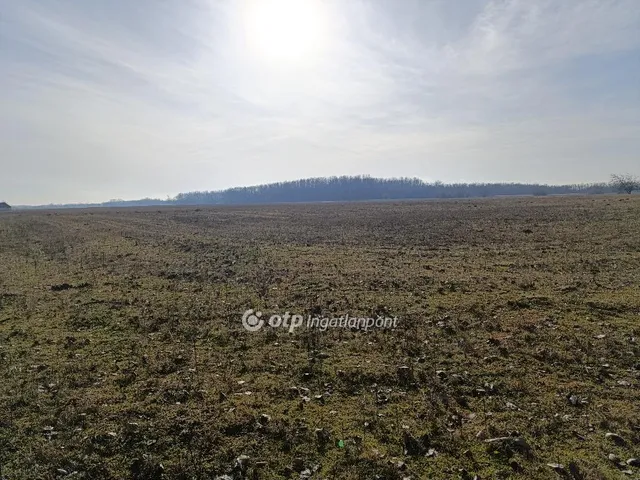 Eladó mezőgazdasági ingatlan Bácsalmás 1075450 nm