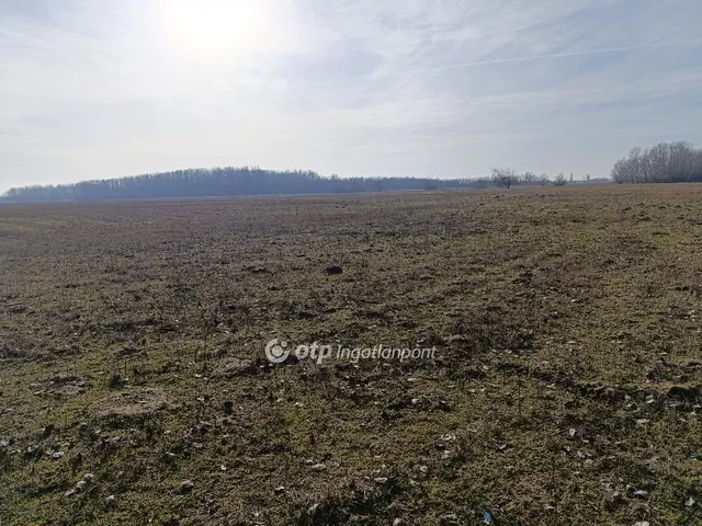 Eladó mezőgazdasági ingatlan Bácsalmás 1075450 nm