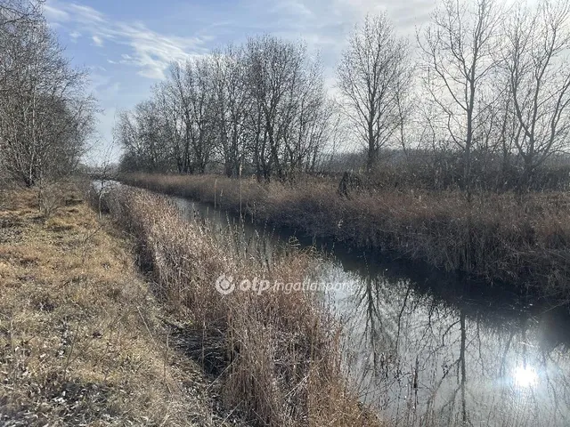 Eladó mezőgazdasági ingatlan Zákányszék 15932 nm