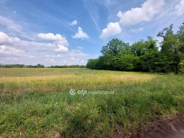 Eladó mezőgazdasági ingatlan Dóc 3964 nm