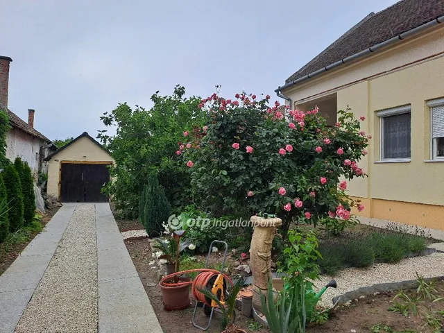 Eladó ház Makó, központi Petőfi park 180 nm