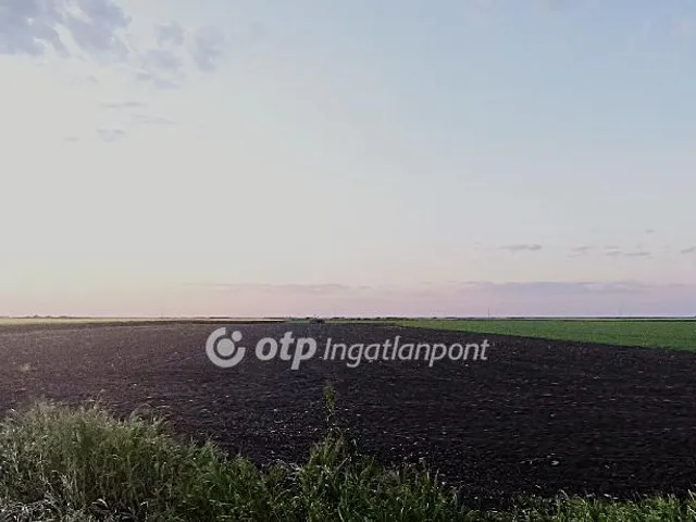 Eladó mezőgazdasági ingatlan Nagyér 77289 nm
