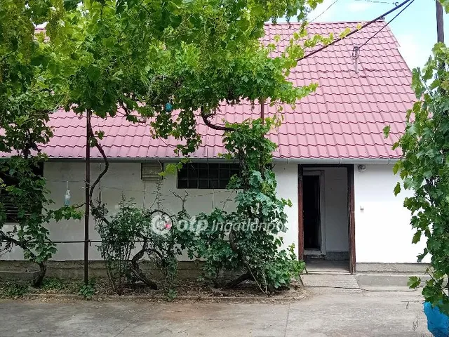 Eladó mezőgazdasági ingatlan Röszke 51007 nm
