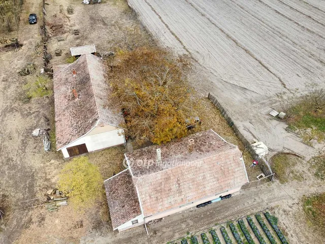 Eladó mezőgazdasági ingatlan Forráskút 240 nm