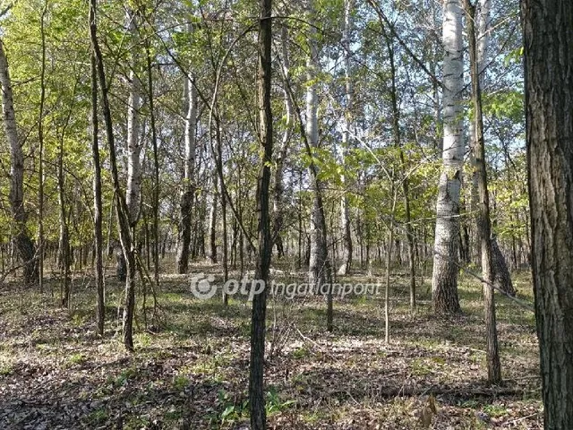 Eladó mezőgazdasági ingatlan Zsana 83335 nm