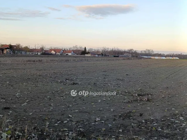 Eladó mezőgazdasági ingatlan Üllés 8800 nm