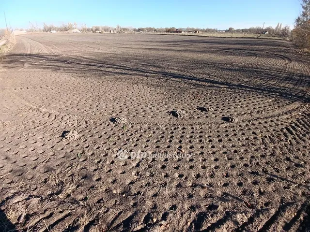 Eladó mezőgazdasági ingatlan Balástya 17538 nm