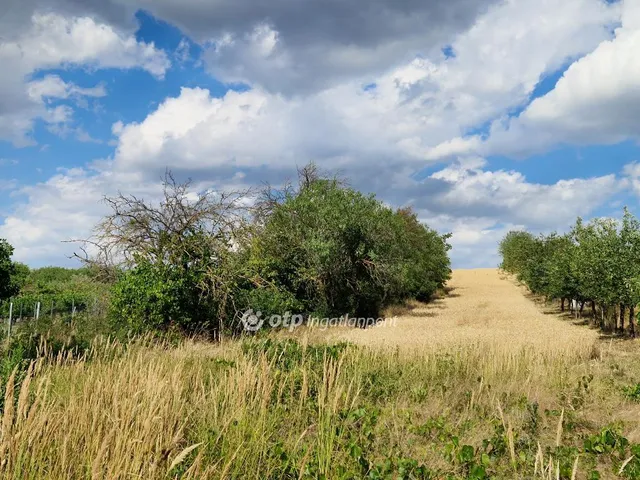 Eladó mezőgazdasági ingatlan Berhida 3640 nm