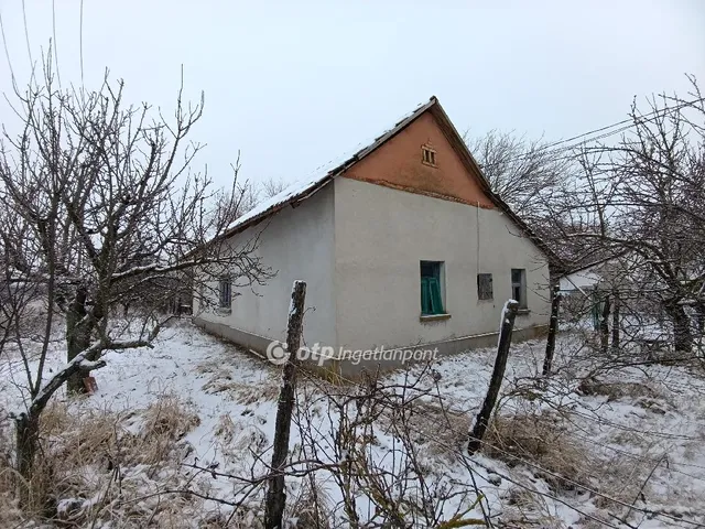 Eladó mezőgazdasági ingatlan Balástya 75 nm