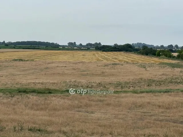 Eladó mezőgazdasági ingatlan Deszk 385424 nm