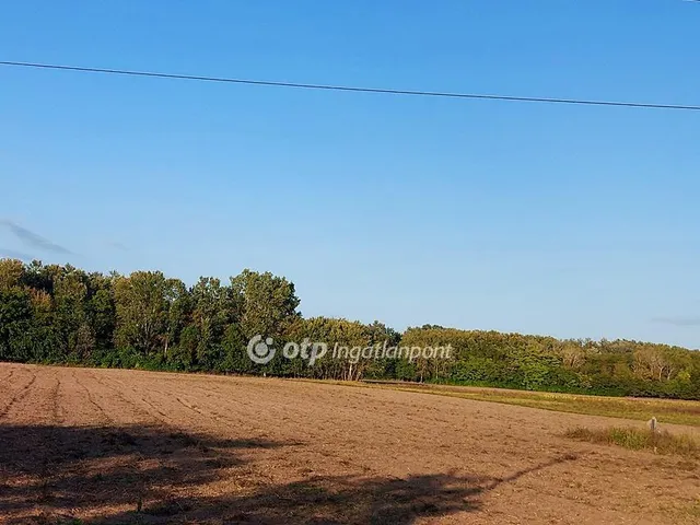 Eladó mezőgazdasági ingatlan Ópusztaszer 12745 nm