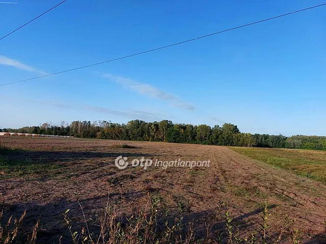 Eladó mezőgazdasági ingatlan Ópusztaszer 12745 nm