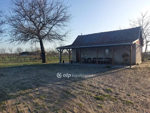 Eladó mezőgazdasági ingatlan Röszke 40 nm