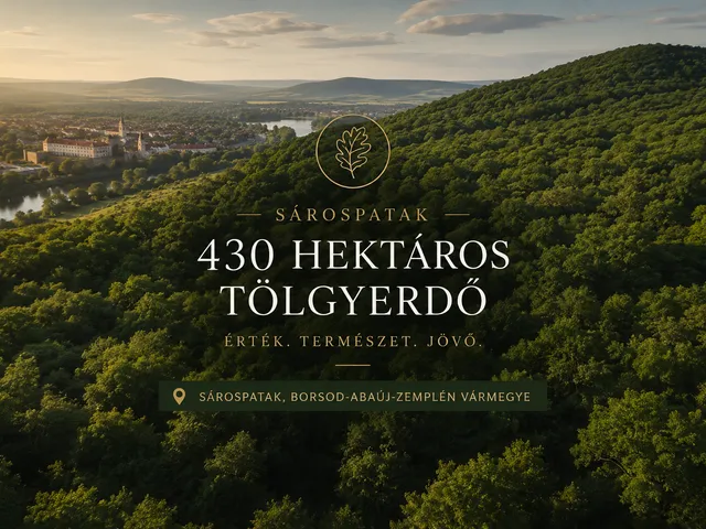 Eladó kereskedelmi és ipari ingatlan Sárospatak 1 nm