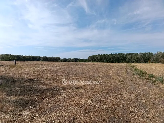 Eladó mezőgazdasági ingatlan Pusztamérges 140000 nm
