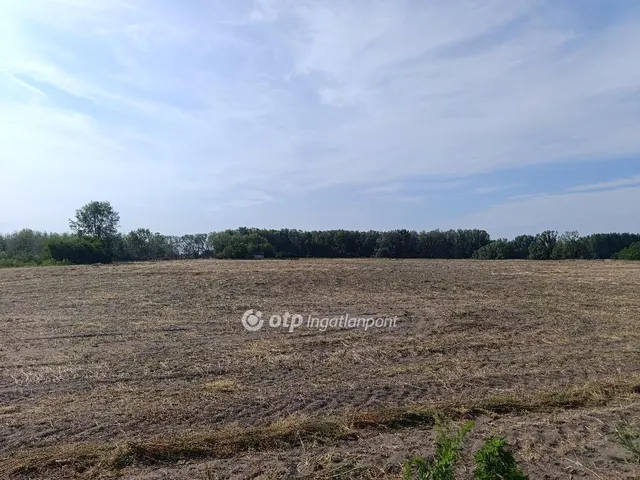 Eladó mezőgazdasági ingatlan Pusztamérges 140000 nm