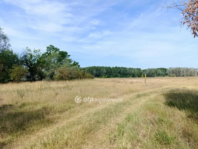 Eladó mezőgazdasági ingatlan Pusztamérges 140000 nm