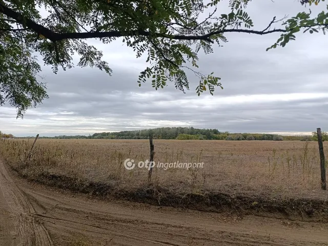 Eladó mezőgazdasági ingatlan Bácsalmás 970000 nm