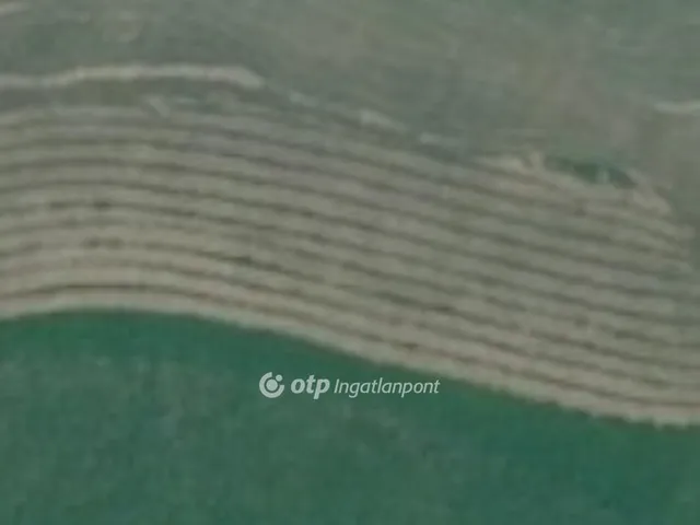 Eladó mezőgazdasági ingatlan Derecske 49232 nm