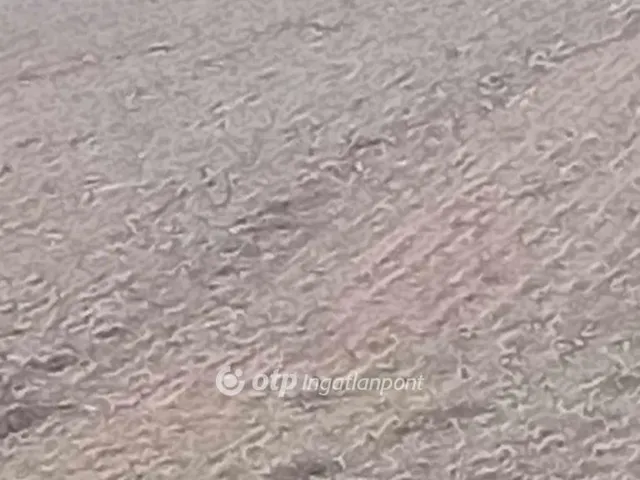 Eladó mezőgazdasági ingatlan Derecske 291 nm
