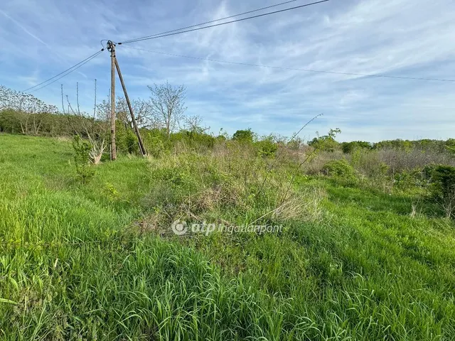 Eladó telek Újlőrincfalva 2388 nm