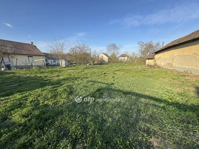 Eladó telek Tiszaszőlős 725 nm