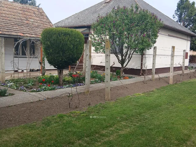 Eladó ház Nagyhegyes 85 nm