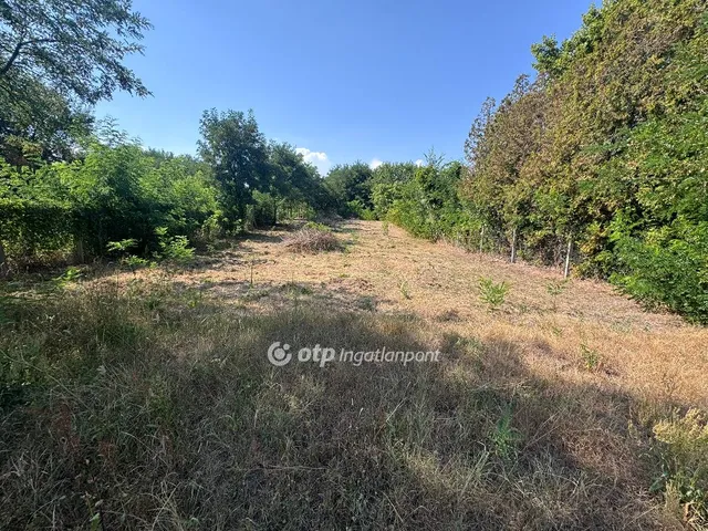 Eladó telek Tiszafüred 1199 nm