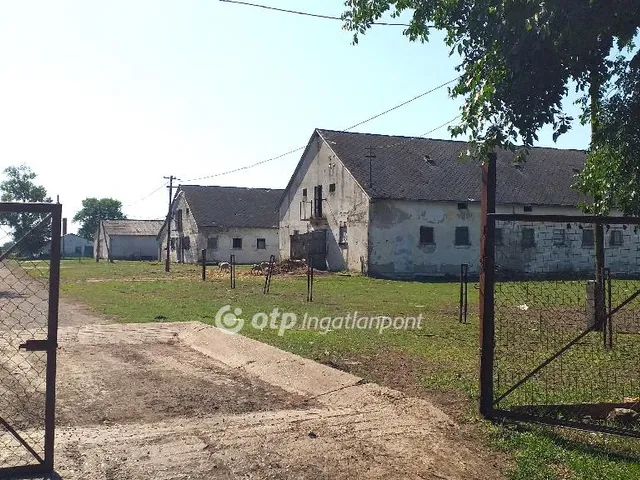 Eladó mezőgazdasági ingatlan Szentkirály 70000 nm