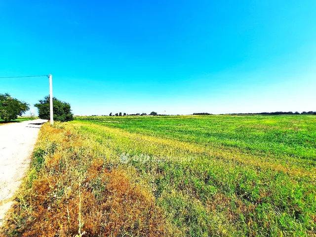 Eladó mezőgazdasági ingatlan Szolnok 20609 nm