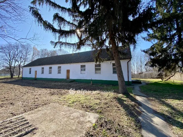Eladó ház Kecskemét, Borbás 292 nm