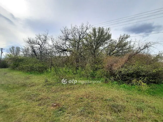 Eladó telek Csévharaszt 5697 nm