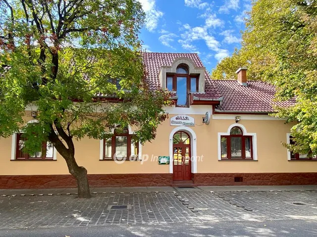 Eladó kereskedelmi és ipari ingatlan Jánoshalma 410 nm