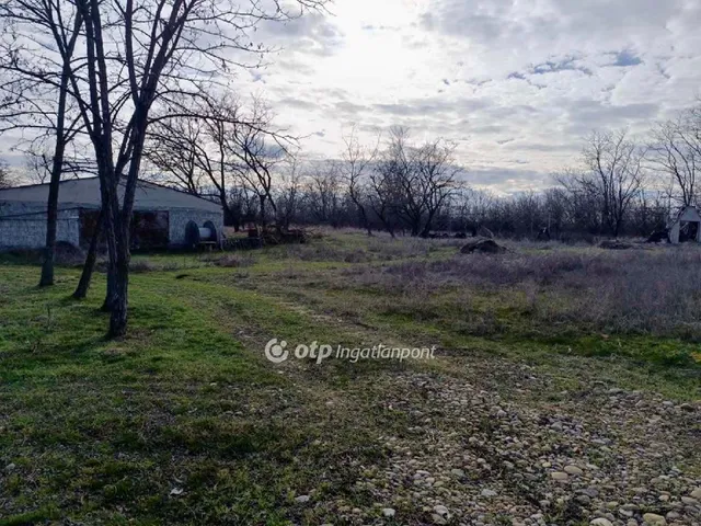 Eladó mezőgazdasági ingatlan Rém 45428 nm