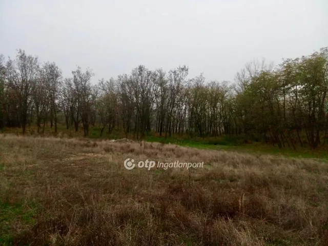 Eladó mezőgazdasági ingatlan Rém 45428 nm