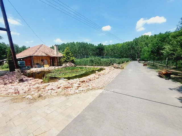 Eladó mezőgazdasági ingatlan Albertirsa 41975 nm