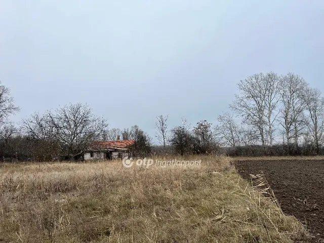 Eladó mezőgazdasági ingatlan Nagykőrös 58 nm