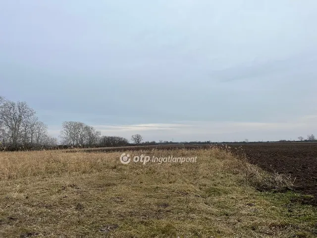 Eladó mezőgazdasági ingatlan Nagykőrös 58 nm
