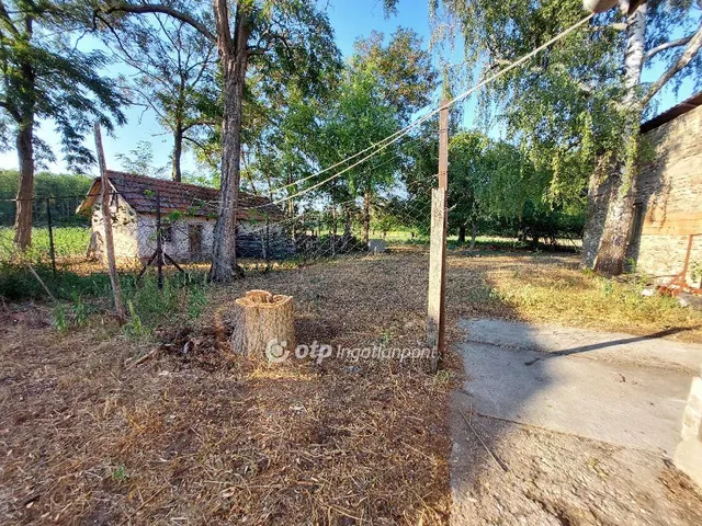 Eladó mezőgazdasági ingatlan Nyársapát 4316 nm