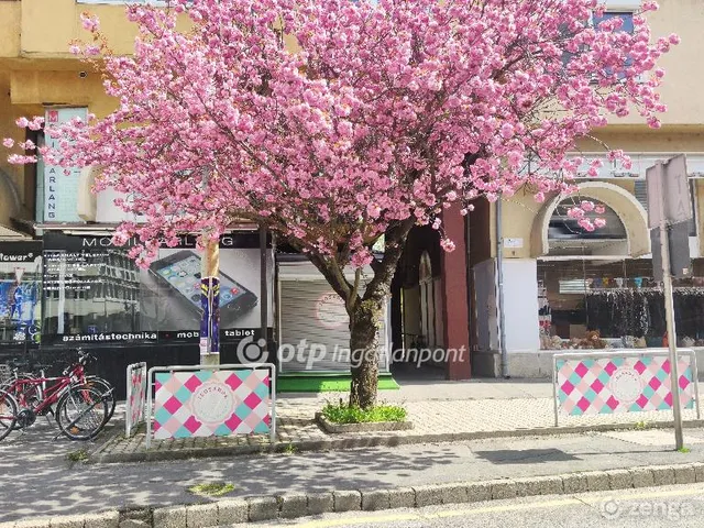 Kiadó kereskedelmi és ipari ingatlan Nagykanizsa 10 nm