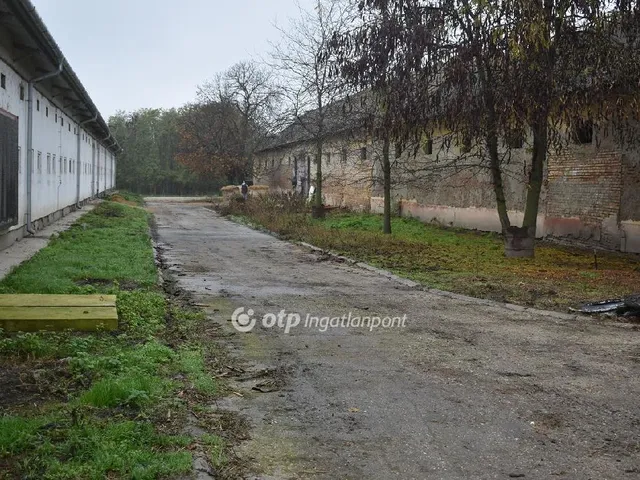 Eladó mezőgazdasági ingatlan Mezőhegyes, Külterület 5000 nm