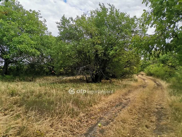 Eladó mezőgazdasági ingatlan Gerendás 18490 nm