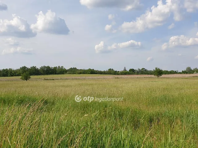 Eladó mezőgazdasági ingatlan Orosháza, Belterület 49576 nm