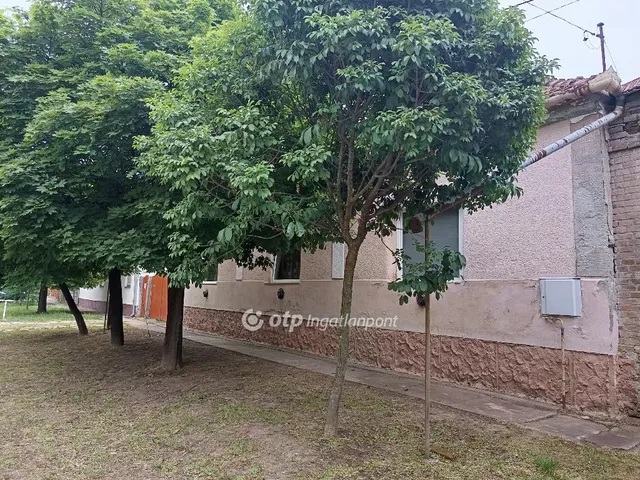 Eladó ház Elek 180 nm